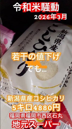 [Reiwa Rice Riot] 5kg for 4880 yen ⭐️ Niigata Prefecture Koshihikari, a famous domestic brand. Ri...