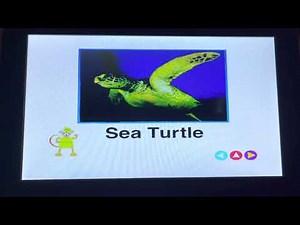 World Animals Australian 2003 DVD Menu