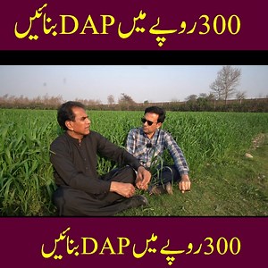 221K views · 5.5K reactions | Make your own fertilizer, Organic fertilizer, Home made fertilizer by utilizing the farm waste. The recipe is Animal wastes like dung, urine, plant waste. any plant debris like roots, stubbles, kitchen waste etc add molasses or chickpea inoculum or soil from a big tree base add water and cover. https://www.facebook.com/sajidsandhu?mibextid=2JQ9oc #organicgardening #organic #fertilizer #farming | Dr. Shahzad Basra | Facebook