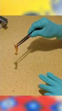 They PUT HUMAN DNA in a CHICKEN EGG?! (You WON'T Believe What Happened)