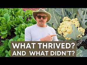 I Forgot to Fertilize My Garden -- Here's What Happened