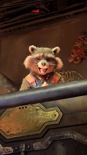 This has to be one of the coolest audio animatronics Disney has ever created 🚀🦝🤩 • • • #rocketraccoon #gotgmissionbreakout #missionbreakout #guardiansofthegalaxy #disneycaliforniaadventure #dca #californiaadventure #disneylandresort #disneyland | The DIS