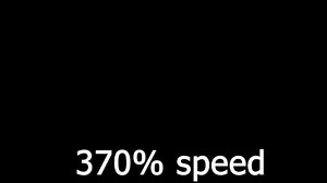 bee sound #bee #beesounds