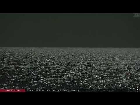 Jan 15, 2025: Maui humpback whales breaching in the moonlight