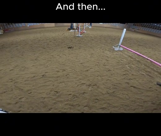 Riding Lesson with Breezy the Sassy School Pony