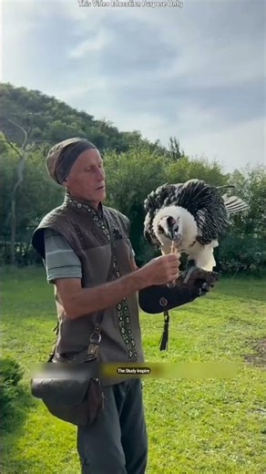 The Bird That Swallows 30cm Bones Like Biscuits! 🦆 😳 #shortsvideo