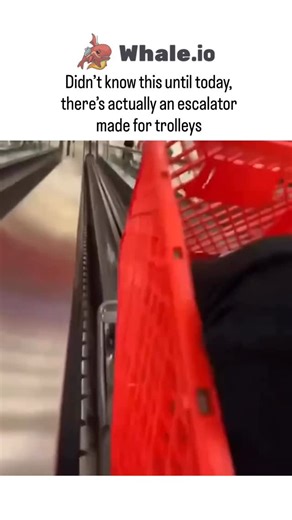 @zonofun on Instagram: "The video captures a person joyriding down a Target store’s “cart escalator,” a conveyor system for shopping trolleys in multi-level locations, installed since the 1970s to streamline shopping without elevators. - Signs clearly state “Carts Only” and prohibit children or riders, underscoring the post’s ironic warning against trying it at home amid the evident thrill. - Garnering 1.5 million views and 2,000+ likes in hours, the post evokes nostalgic surprise over this unde