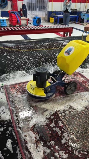 Satisfying Rug Washing!