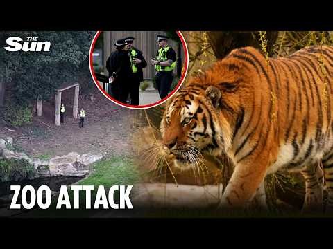 Man killed by tiger at UK wildlife park 'posed for pic & danced before jumping into pen'