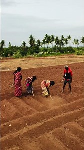 சந்தோஷமாக வாழ முயற்சிக்காதே.. நிம்மதியாக வாழ முயற்சி செய். உன் வாழ்க்கைமுழுவதும் சந்தோஷமாக இருக்கும்