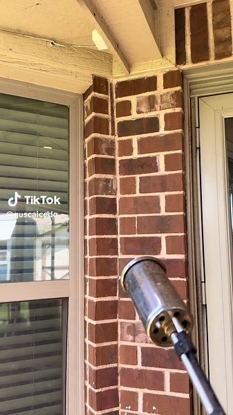 Torch flame thrower vs wasps.