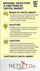 Capital Market | Objectives & Functions Explained with Examples | Commerce & Management