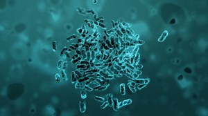 Kloning Bakteri, animasi 3d yang indah dengan kedalaman lapangan. HD penuh 1080