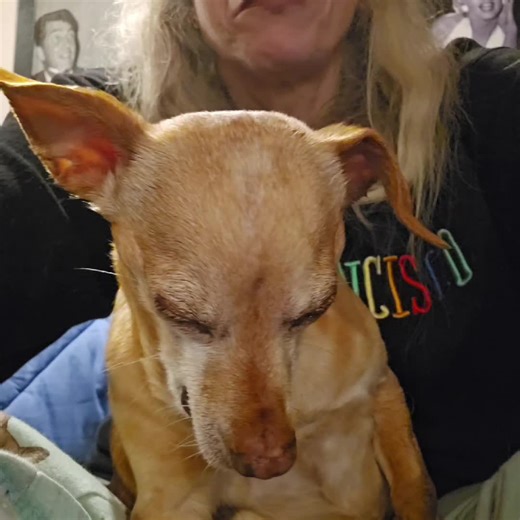 Stephanie Roberts (@stephanieroberts24)’s videos with Sleep Away Your Troubles - The Softies