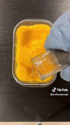 Wax Soaked Sponge Experiment: Anticipation Builds!