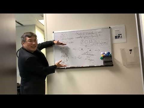 Saccade and Pursuit in ophthalmology