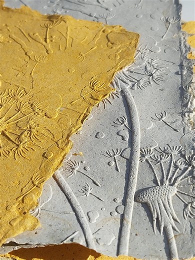 Dandelion Handmade Embossed Paper: (4x6, 12 Pack) - Etsy