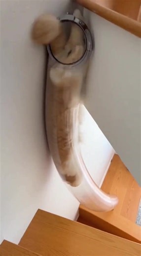 #fyp #douyin #mimi | Douyin