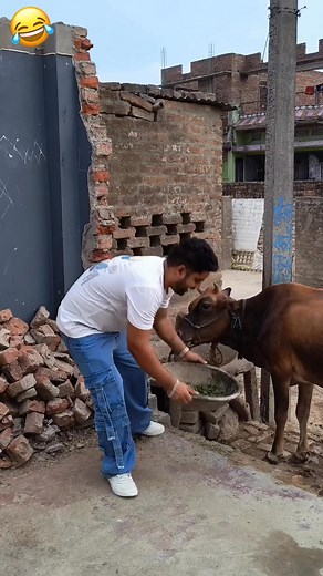 192K views · 3.2K reactions | Wait wait  #funny #comedy | falak Shahid | Facebook