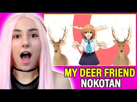 The Greatest Anime Opening of 2024?! | My Deer Friend Nokotan – Shikairo Days Reaction