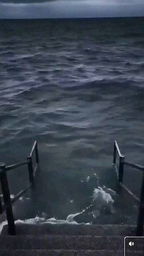 funnymemes on Instagram: "Share this with someone who whould find it funny😉 Here’s a basic method for cooking rice on the stovetop: Ingredients 1 cup rice (white or brown) 2 cups water (for white rice) or 2 1/2 cups water (for brown rice) 1/2 tsp salt (optional) 1 tbsp butter or oil (optional) Instructions Rinse the Rice: Place the rice in a fine-mesh strainer and rinse it under cold running water until the water runs clear. This removes excess starch and helps the rice cook more evenly. Boil W