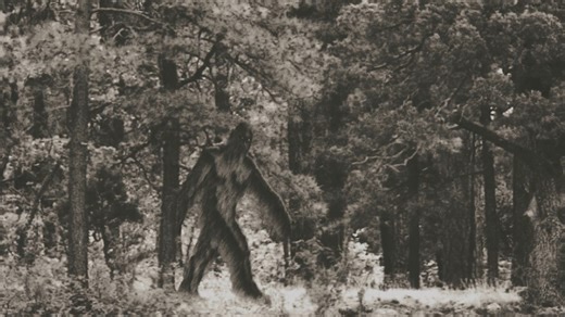 Planes go missing here. So do people. Alaska still has no answers