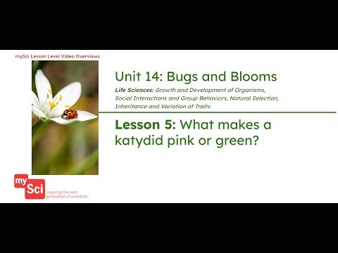 Unit 14 Lesson 5 Video