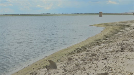 Water shortage causing low water levels at the C.W. Bill Young Regional Reservoir