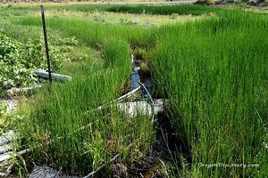 Beulah Hot Springs: A Steamy Wonder in Agency Valley - Oregon Discovery