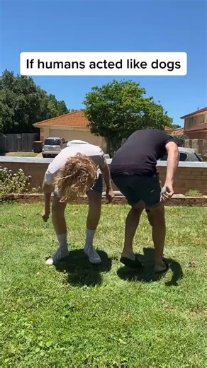 295K views · 2.5K reactions | If Humans Acted Like Dogs  | Marty and Michael | Facebook