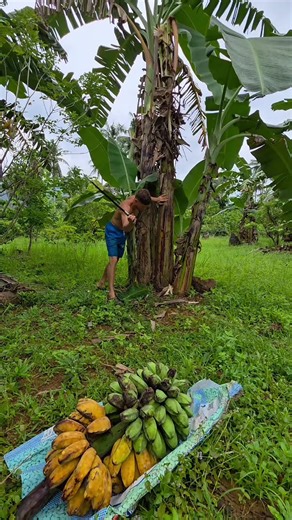 Vilem (@pinoy.x)’s videos with original sound - Vilem