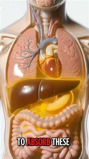 "Mango Digestion Inside Human Body | 3D Anatomy Animation with Slow Voiceover"