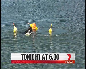 In Seven News Brisbane, Thursday @ 6PM: | 7NEWS Brisbane