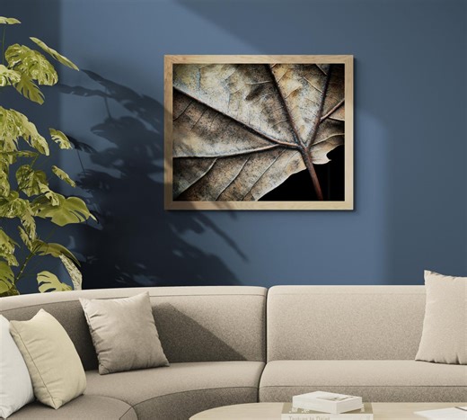 Downloadable Autumn Leaf Print ~ Printable Botanical Photography ~ Digital Download by Nadia Culph - Etsy