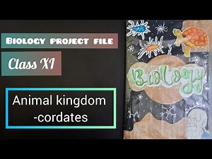 CLASS XI biology project file (animal kingdom) | | mind artist