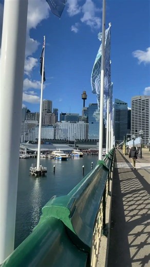 Sydney’s Darling Harbour Looks Like a Dream! 🌇🇦🇺 #shorts #ytshorts