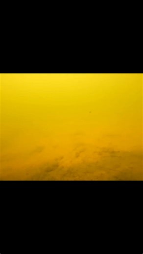 138K views · 1K reactions | Flashback to when I filmed a redfin taking my bait right in front of my underwater GoPro. #fishing #redfin #underwatercamera #lakesambell #fblifestyle | Robbie Alexander Photography and Fishing | Facebook