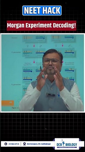Morgan Experiment Decoded in Minutes! 🧬 | Genetics Concept