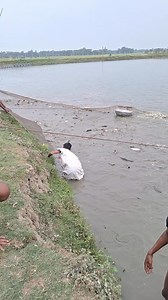 16K views · 178 reactions | Fish  #village #fishing | Unity Farm | Facebook