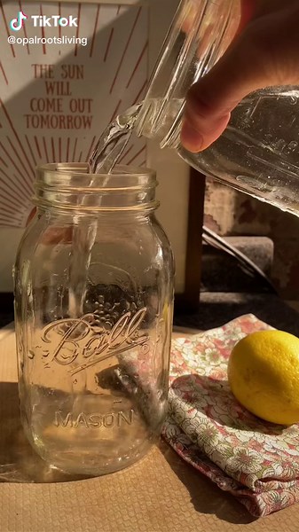 How to Make Warm Lemon Water: Health Benefits and Tutorial