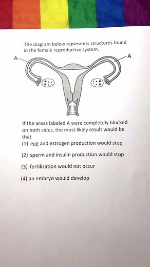 Biology With Claire on TikTok