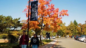 📽️ Tour the Dobbs Ferry Campus of Mercy College