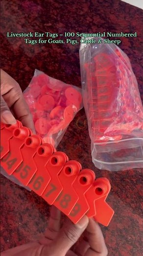 100 Livestock Ear Tags for Goats, Sheep, Cattle & Pigs | Easy Animal Identification