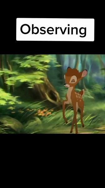 Observing 🌱 Bambi and Bambi 2 Scene