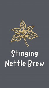 49K views · 327 reactions | Stinging Nettle Herbal Beer Recipe⬇️...