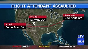 13K views · 61 reactions | A man on an American Airlines flight is accused of punching a flight attendant in the face, and breaking her nose. | HLN | Facebook