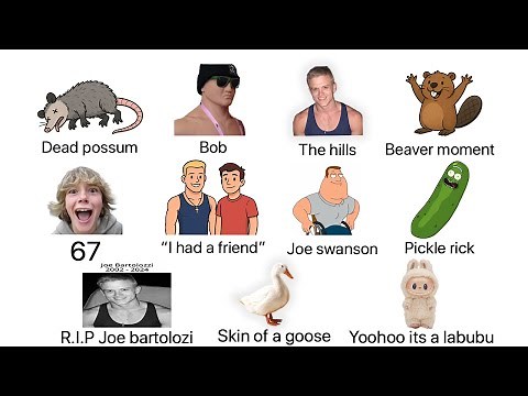 Joe Bartolozzi Memes Explained in 4 minutes