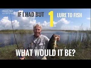 If I had but one lure to fish, what would it be?