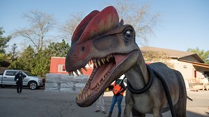 Dinosaur Island set to return to the Columbus Zoo in May