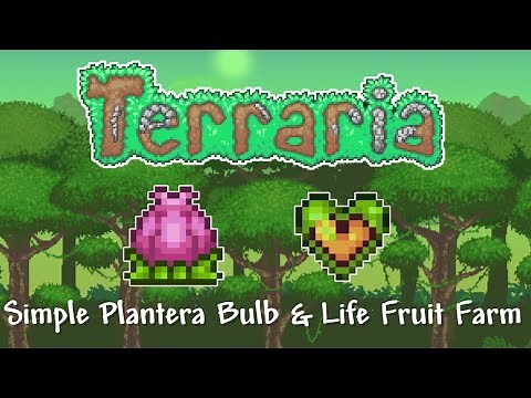 Terraria 1.4 | How to Make a Simple Life Fruit & Plantera Bulb Farm!
